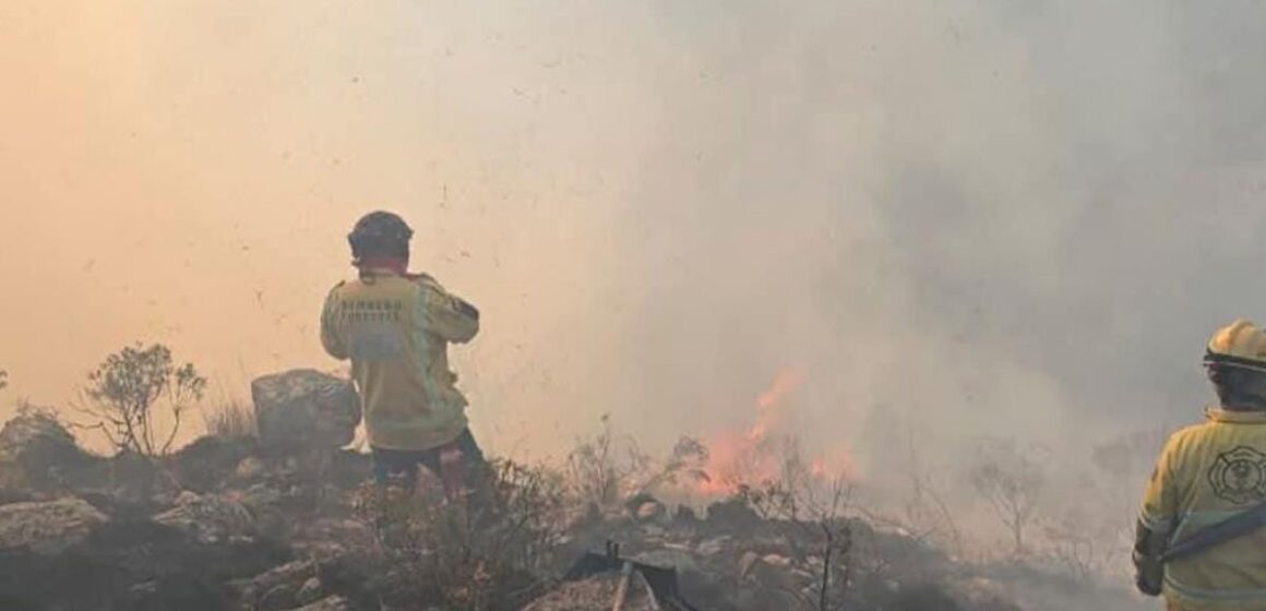 588b1d2b-a840-4015-899c-189143f15dc1 Incendio en Churquis consumió más de 100 hectáreas y puso en riesgo a Sama