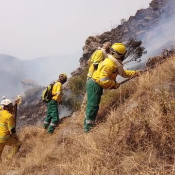 bacbde3f-c1a4-4267-878d-9cd3f8565642 Municipio declara alerta amarilla tras incendios y pronóstico de intensos vientos